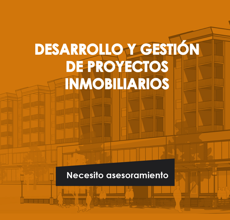 Desarrollo y gestión de proyectos inmobiliarios