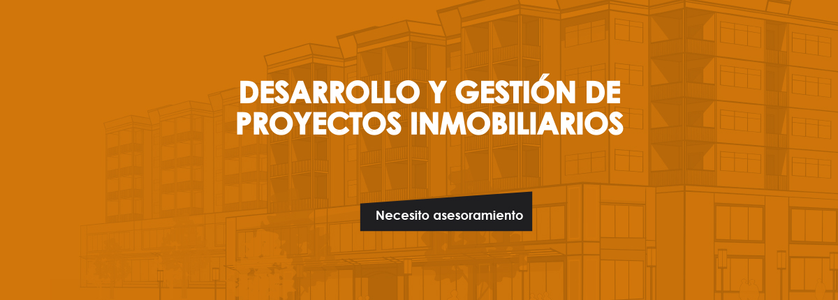 Desarrollo y gestión de proyectos inmobiliarios